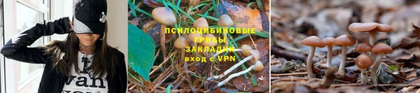 кокаин перу Заволжье